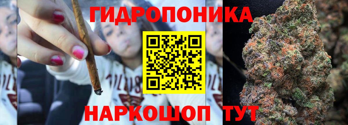ГАШ Майкоп